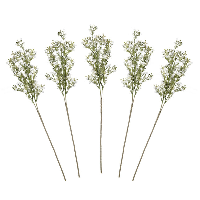 Fiori secchi Gypsophilia Steli 40cm 5pz