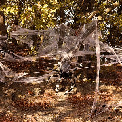 Ragno peloso di Halloween 70 cm