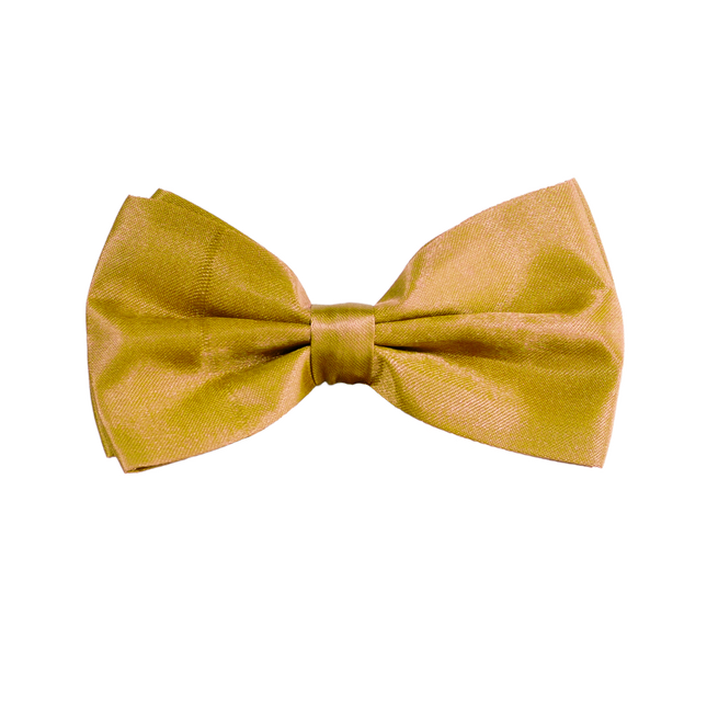 Papillon d'oro