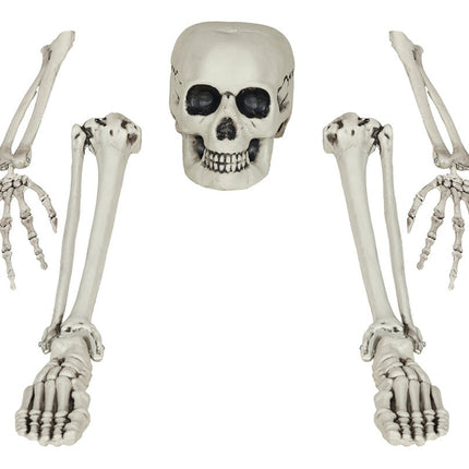 Halloween Skelet Botten 5 delig - Partywinkel - 8434077269794